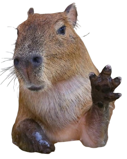 Capybara